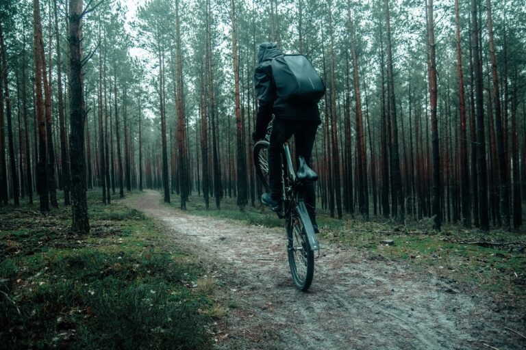 Analyzing the Impact of Cricket on Global Sports Trends